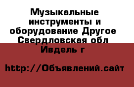 Музыкальные инструменты и оборудование Другое. Свердловская обл.,Ивдель г.